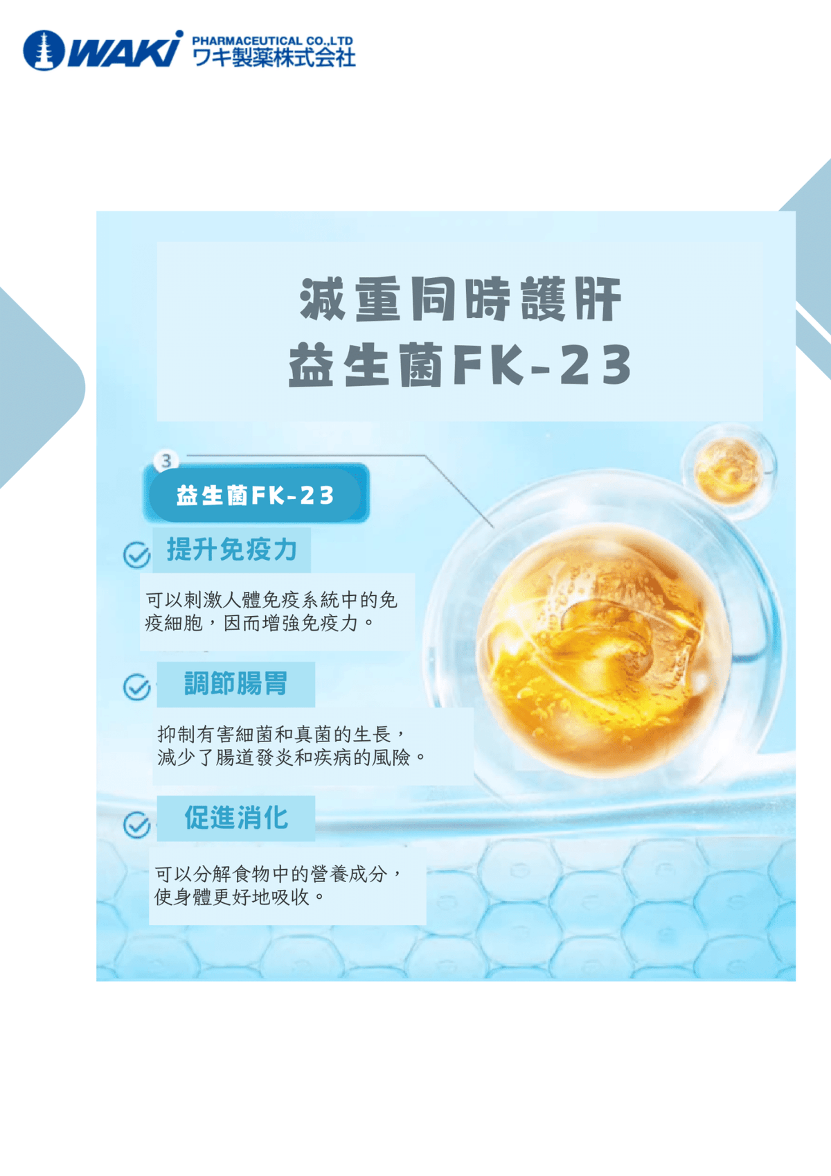 VATY燃脂益生菌,含ガルシニア,改善腸道,促進瘦身的營養補充劑,幫助高效燃脂與健康瘦身