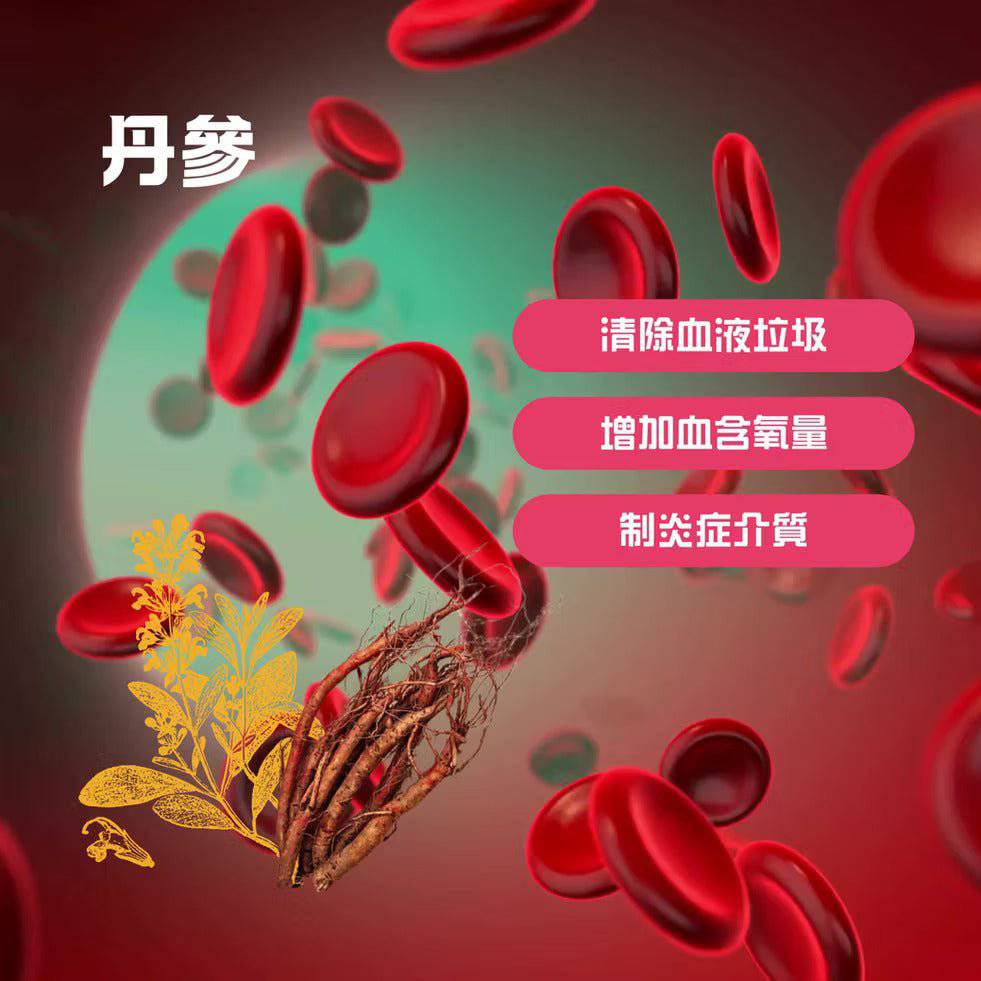 如意金丹水蛭素7200ATU补充剂，改善血液循环，活血化瘀，支持心血管健康，天然抗凝剂