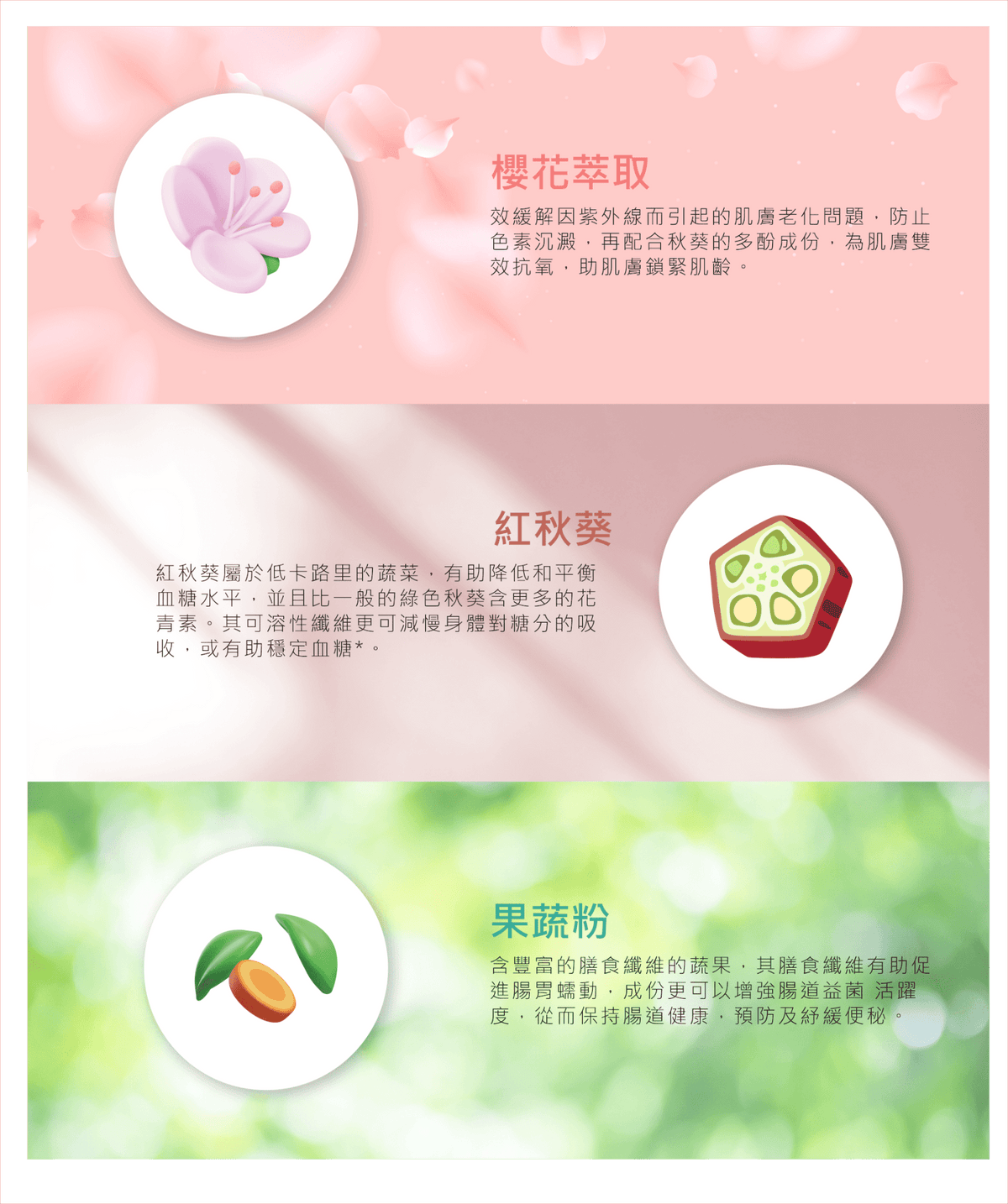 Daily Health Labo SOS瘦身飲，來自新加坡的天然修身飲，用於促進輕盈體態與健康腸道