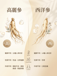 Fopiz人參皂苷氣血丸，天然補氣增活力，護肝抗氧化，提升健康的營養補充劑圖片