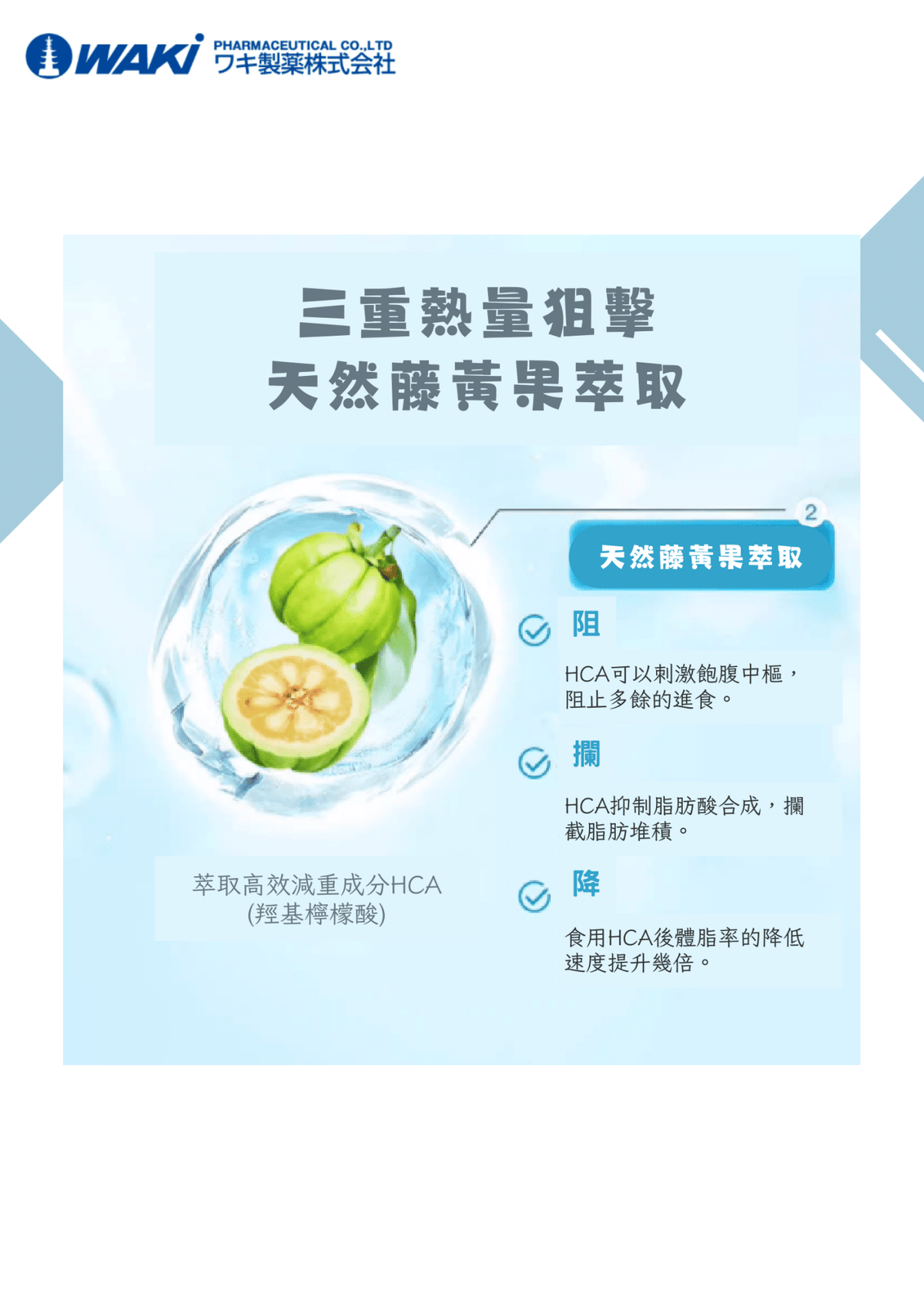 VATY燃脂益生菌，含益生菌和加壓燃脂成分，改善腸道，助力健康瘦身的營養補充劑。