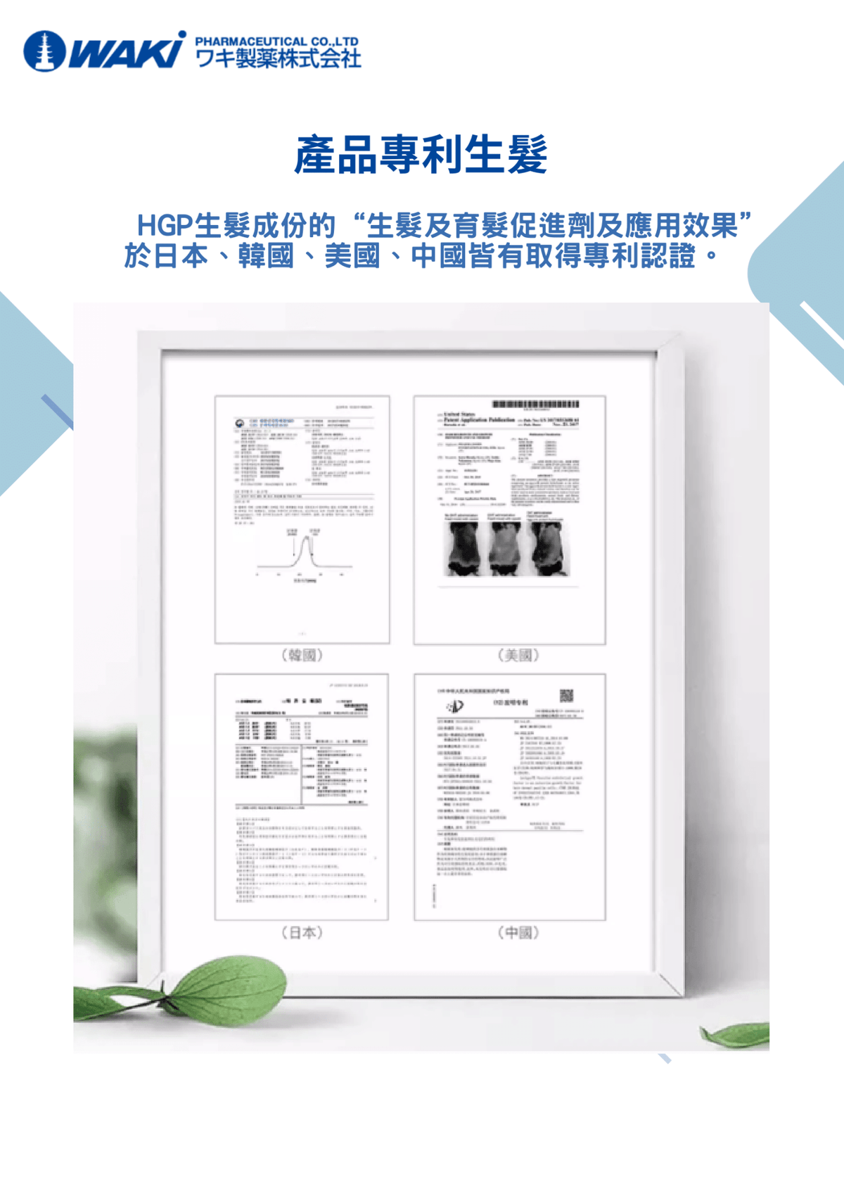 WAKi 菲爾莫生髮素，日式科研證實的營養補充劑，用於喚醒沈睡頭皮，促進黑亮豐盈髮絲